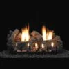 Empire 18-IN Charleston Log Set With Vent Free Slope Glaze Burner -Emocion Central ALS18CR1 VFSR18 2