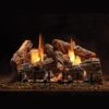 Empire 18-IN Ravenwood Log Set With Vent Free Slope Glaze Burner -Emocion Central ALS18RV VFSR18 2 1