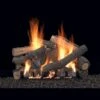 Empire 30-IN Williamsburg Log Set With Vent Free Slope Glaze Burner -Emocion Central ALS30CR2 VFSR30 2 1