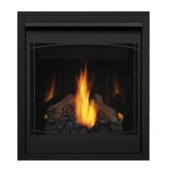 Napoleon Ascent 30 Direct Vent Gas Fireplace -Emocion Central B30 2