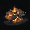Real Fyre Charred American Oak See-Thru 24-in Logs Only 2 Real Fyre Charred American Oak See-Thru 24-in Logs Only -Emocion Central CHAO 2 24 X 2
