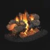 Real Fyre Charred Oak See-Thru 16" Gas Logs With G45 Burner Options -Emocion Central CHD 2 16 X 2