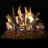 Real Fyre Charred Oak Stack Gas 30-in Logs With Burner Kit Options 2 Real Fyre Charred Oak Stack Gas 30-in Logs With Burner Kit Options -Emocion Central CHDS 30 X 2