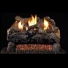 Real Fyre Evening Fyre Charred See-Thru Vent Free Gas Logs 24-in With G18 Burner Options -Emocion Central ECV 2 24 X 2