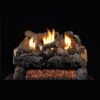 Real Fyre Evening Fyre Charred 30-in Vent-Free Gas Logs With G18 Burner Kit Options -Emocion Central ECV 30 X 2 1