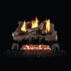 Real Fyre Evening Fyre 24-in Vent Free Gas Logs Only 2 Real Fyre Evening Fyre 24-in Vent Free Gas Logs Only -Emocion Central EFV 24 X 2 1