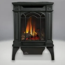The Napoleon Arlington Direct Vent Gas Stove