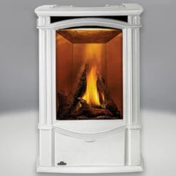 The Napoleon Castlemore Direct Vent Gas Stove
