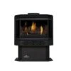 The Napoleon Haliburton Direct Vent Gas Stove -Emocion Central GDS28 1NSB 2