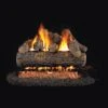 Real Fyre Golden Oak Designer Plus 20-in Gas Logs With Burner Kit Options -Emocion Central RDP 20 X 2