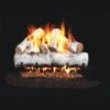 Real Fyre White Birch 18-in Gas Logs Only -Emocion Central W 18 X 2 1